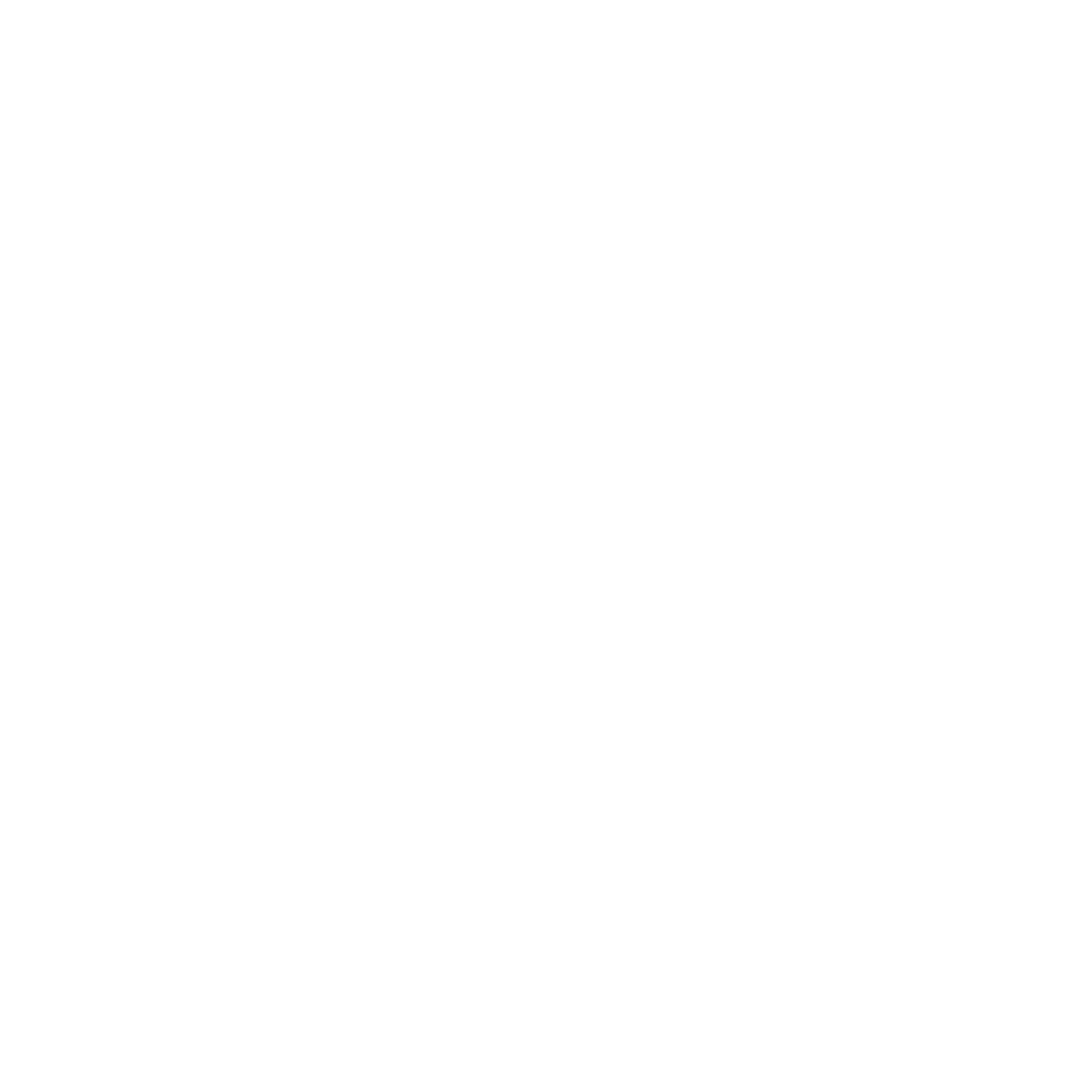 Ecom IT Hub - Ecommerce Service Provider